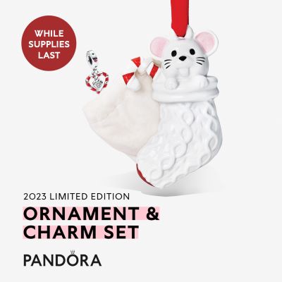 Pandora 2023 Limited Edition Ornament & Charm Set icon