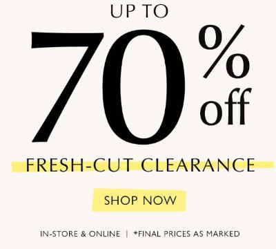 Up to 70% Off Clearance at Evereve icon