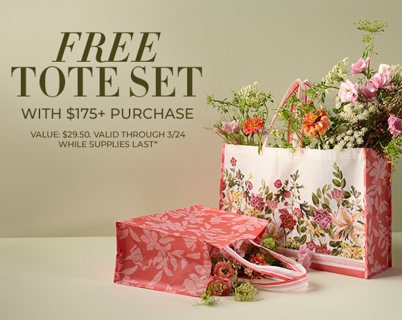Free Tote Set with $175+ Chico’s Purchase icon