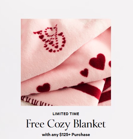 Free Cozy Blanket with $125+ icon